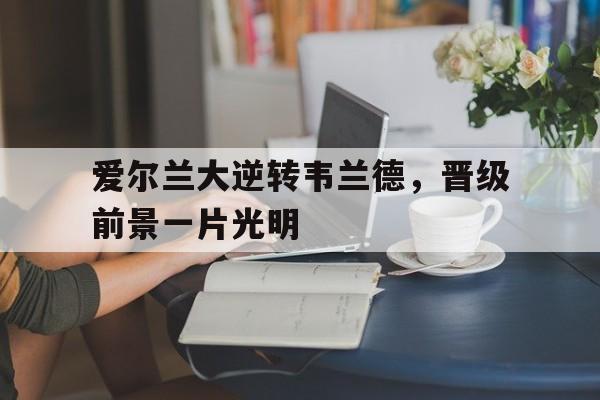 开云官方app入口-爱尔兰大逆转韦兰德，晋级前景一片光明的简单介绍