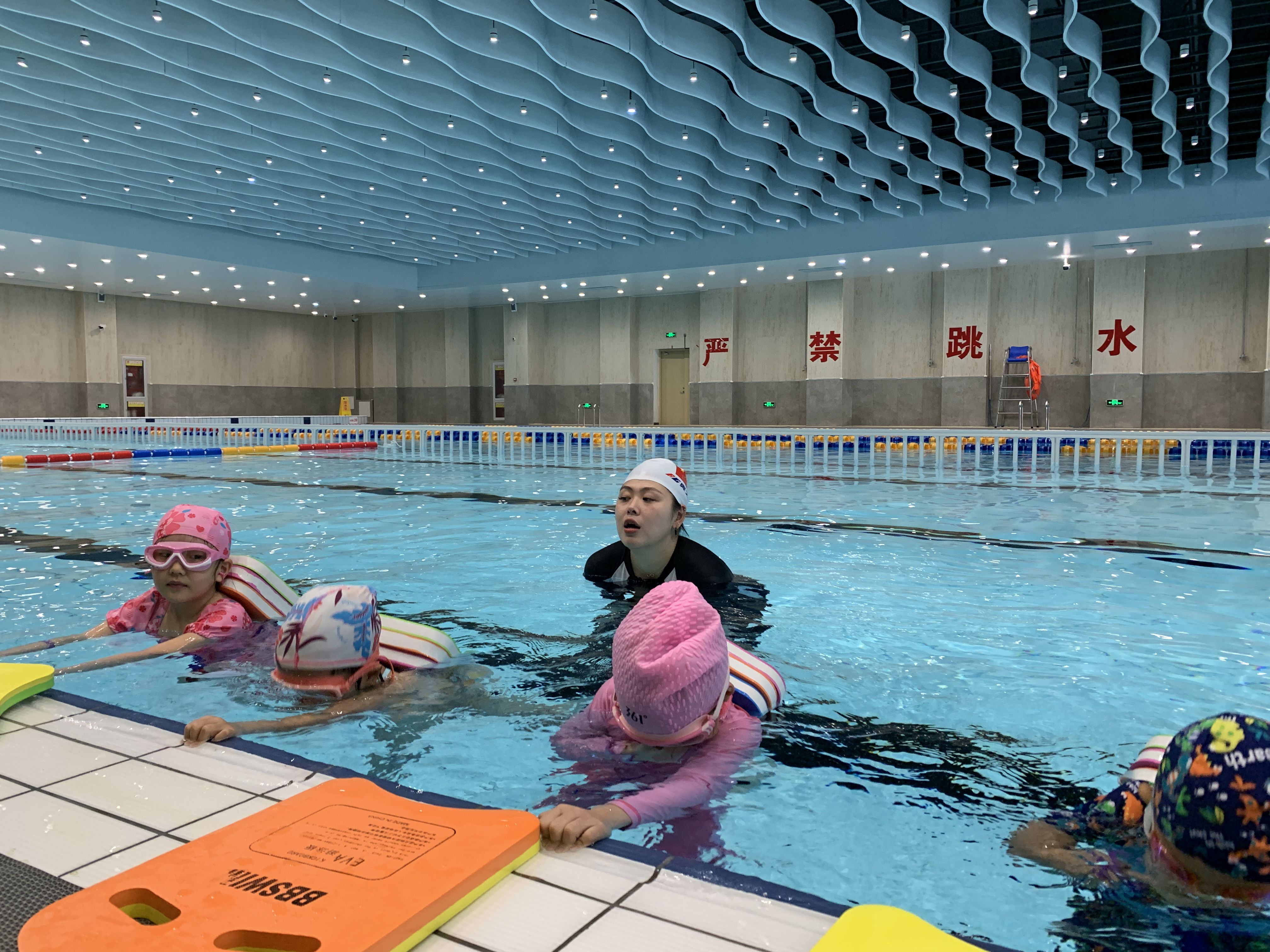 关于阿尔及利亚游泳健将高山之巅，勇夺冠军荣耀喜人的信息