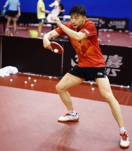 波兰队横扫日本队，张继科惊艳四座
