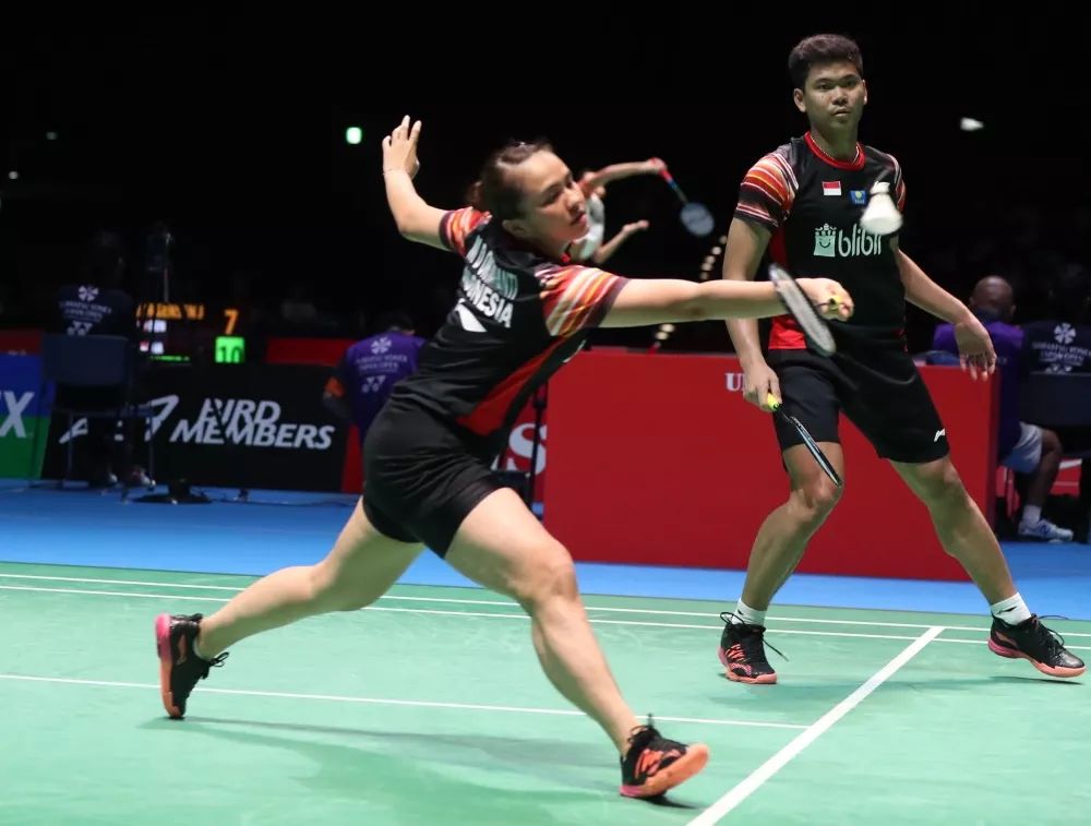 开云体育下载-丹麦队轻取印度队，黄鸭组合点燃赛场的简单介绍